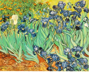 Image:Iris.jpg